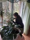 Досуговое занятие